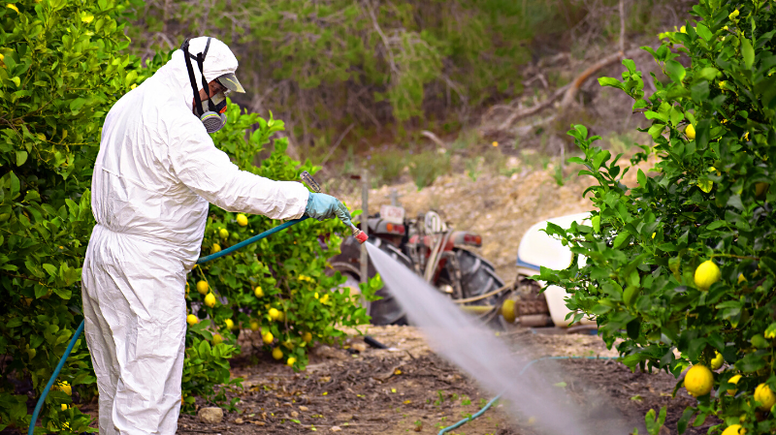 Greenpeace: Türkiye pestisitte ikinci sırada