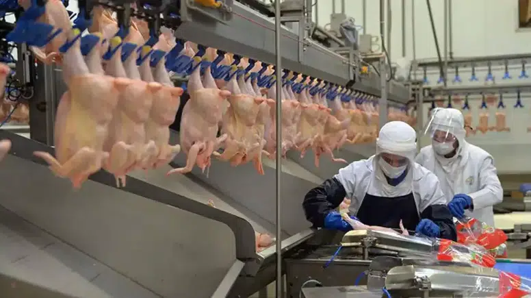 Bakanlıktan ramazan öncesi tavuk kararı