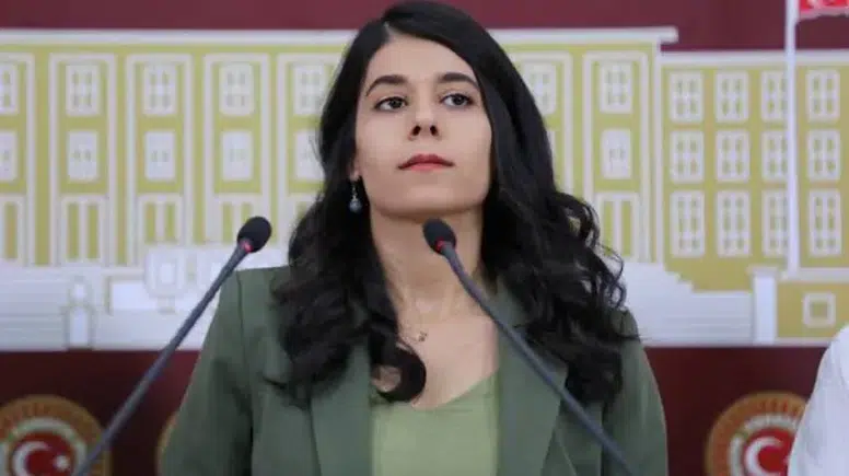 Beritan Güneş: "Ücretsiz kreşler yaygınlaştırılmalı"