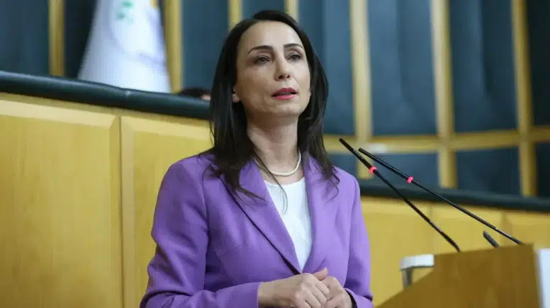 DEM Parti’den süreç çıkışı: “Artık gaza basma zamanı”