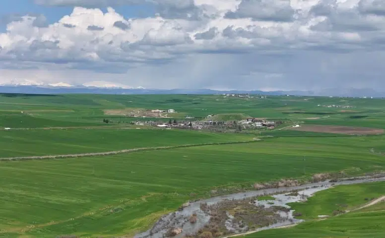 Diyarbakır’da Tarımsal Sabotaj: 250 Dönüm Ekili Alan Kurutuldu