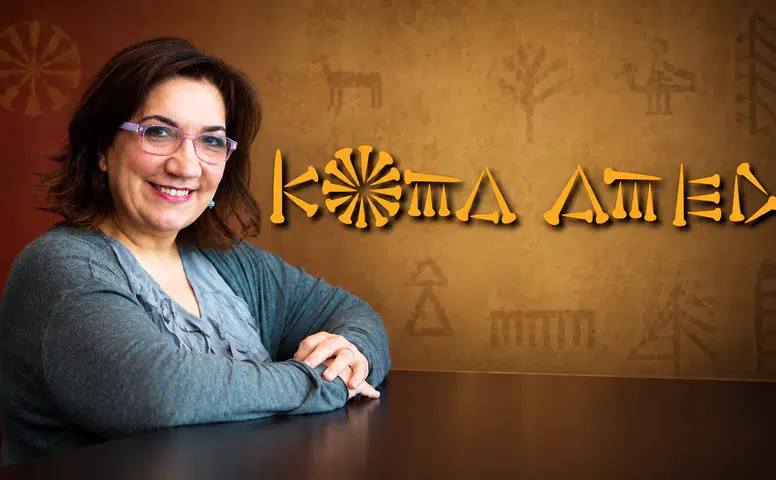 Füsun Demirel’den Koma Amed konserine Kürtçe çağrı: “Stenbol, hun amade ne?”