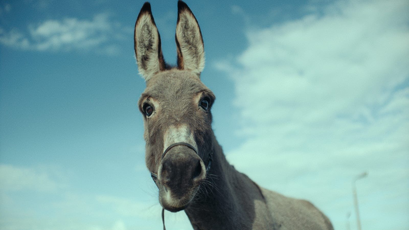 Mubi Film Önerileri 2