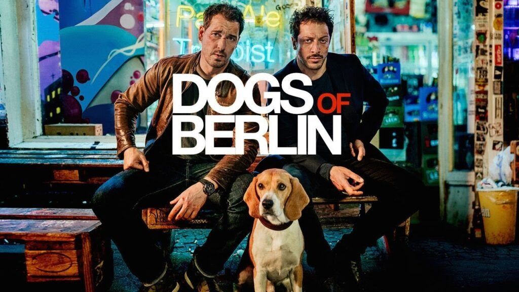 Netflix Alman Dizileri (9)