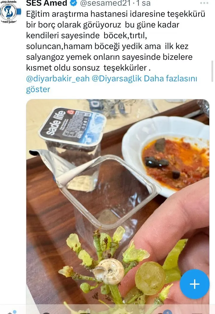 Amedtımes-28