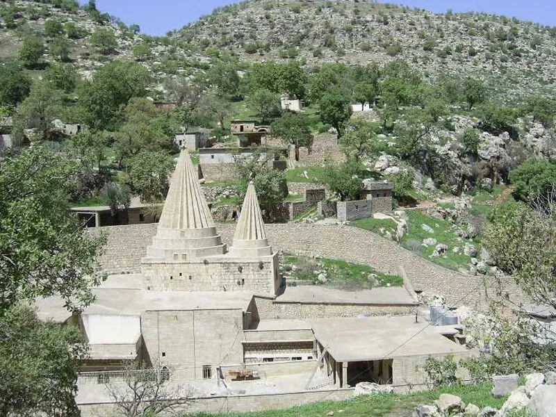 Farklılıklar Ve Ortak Paydalar