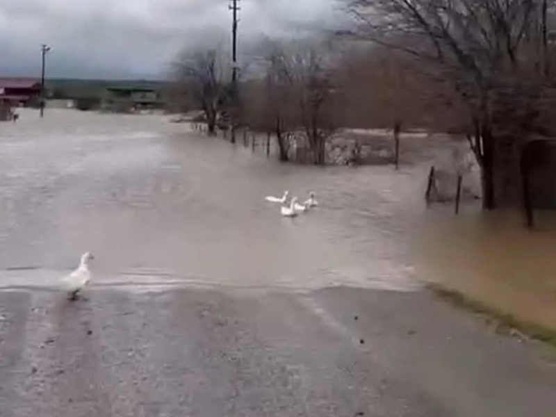 Diyarbakır’da Dün Öğle Saatlerinde (2)
