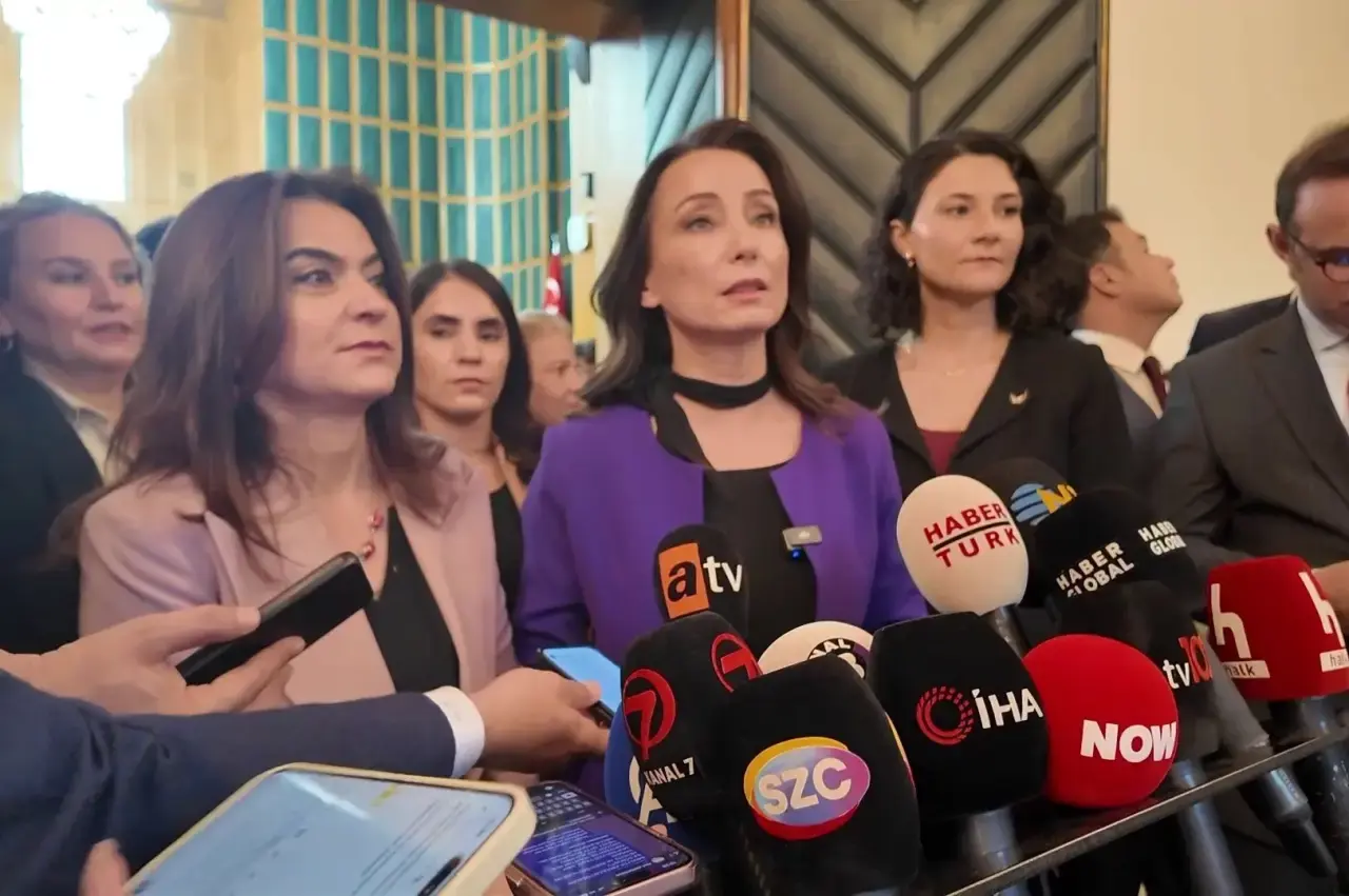 Tülay Hatimoğulları'ndan 'İmralı tutanakları' açıklaması: Yarın komisyonda  karar verilecek - Evrensel