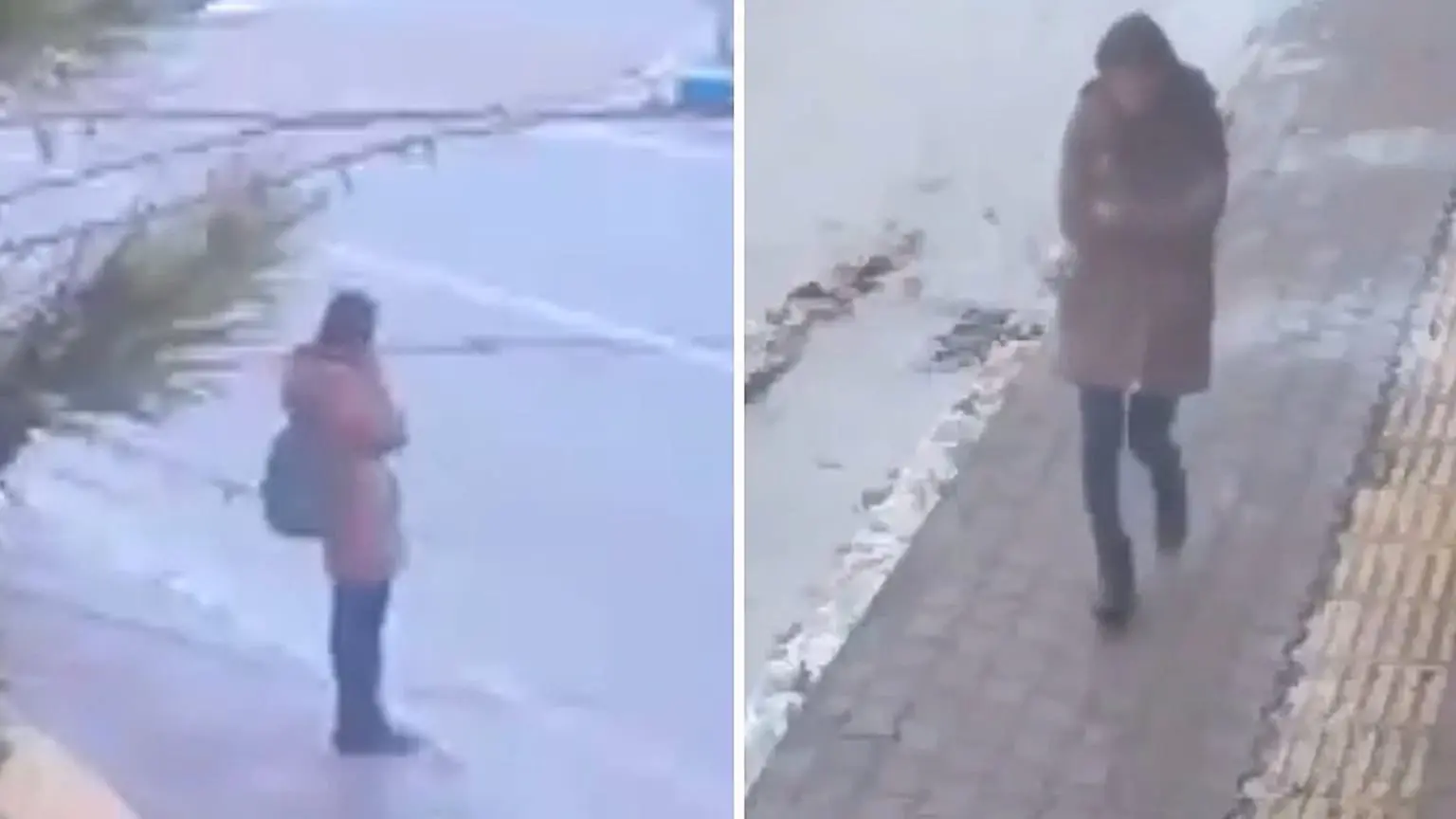 Gülistan Doku soruşturmasında ilk tutuklama: İhraç polis memuru 'delil yok  etmekle' suçlanıyor | Euronews