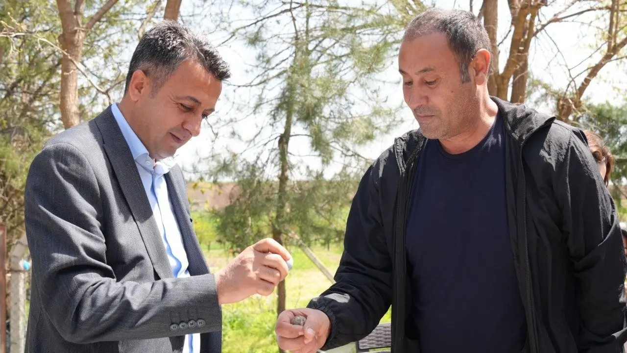 Diyarbakır'da, 'Çarşema Sor' bayramı kutlandı